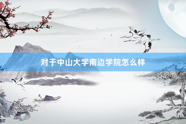 对于中山大学南边学院怎么样